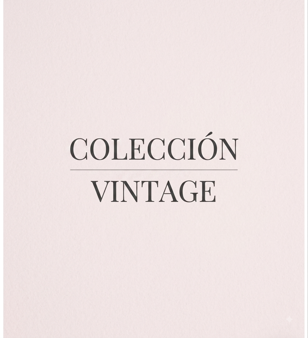 Vintage Carteras usadas